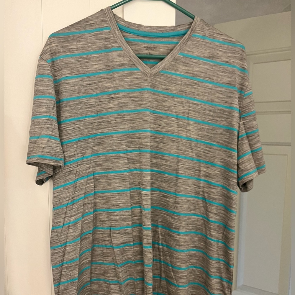 Icebreaker Merino wool v-neck shirt